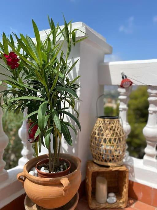 Precioso Apartamento Mandarinos Con Vistas Al Mar Nerja Kültér fotó