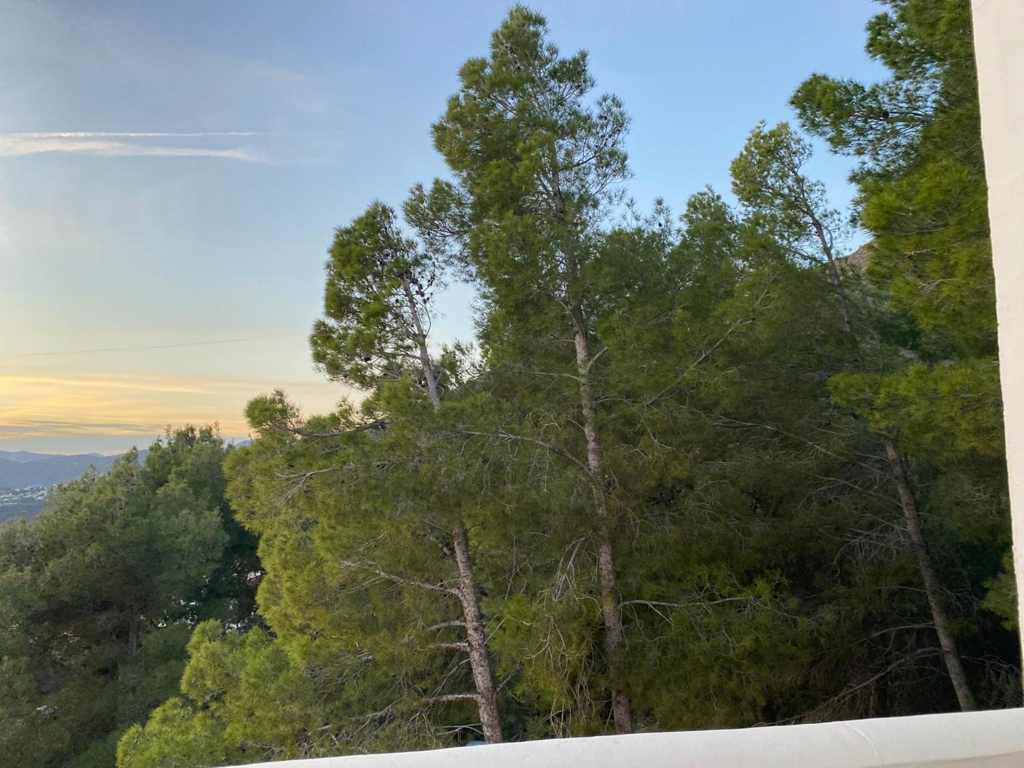 Precioso Apartamento Mandarinos Con Vistas Al Mar Nerja Kültér fotó